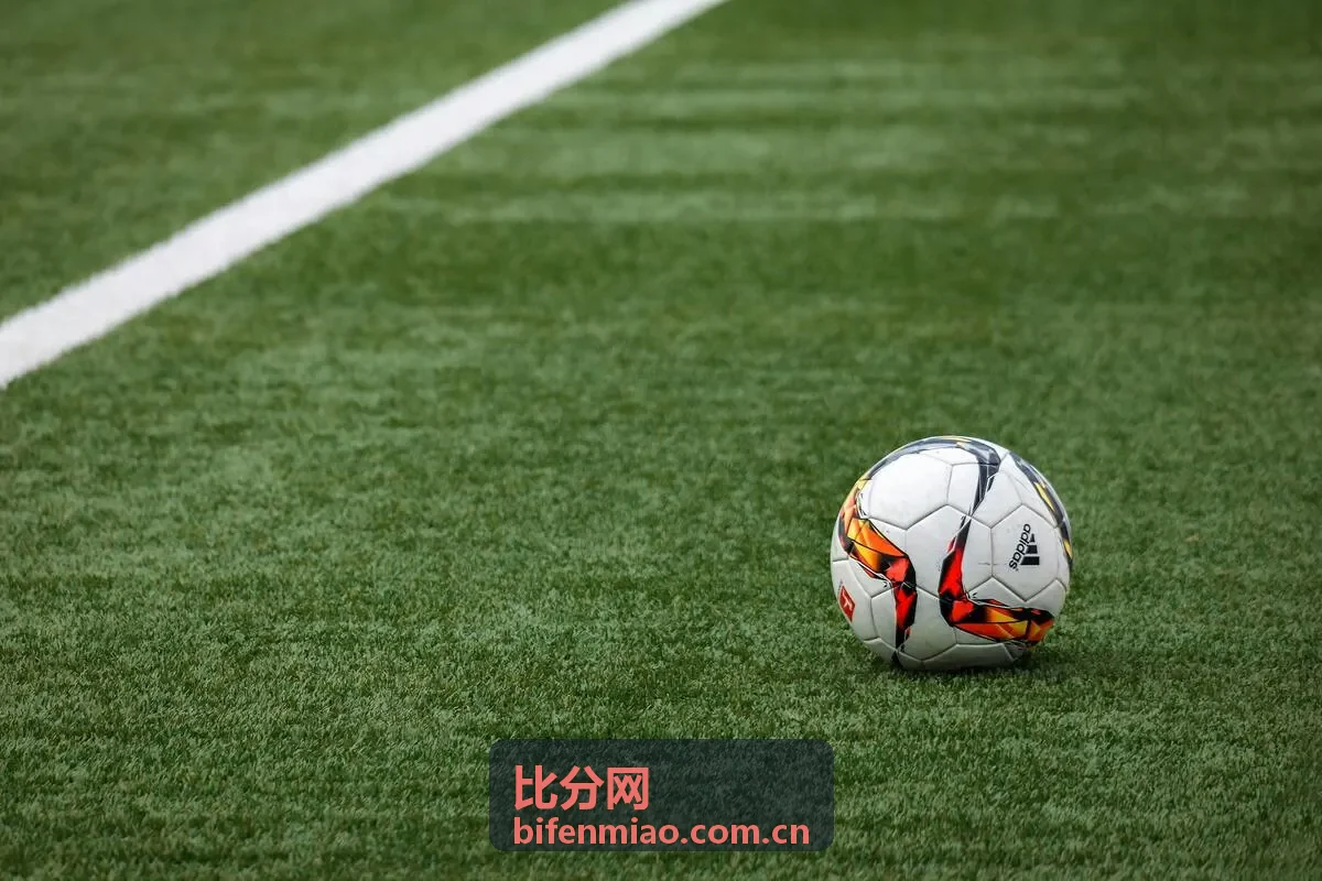 比分网实时比分数据展示赛场